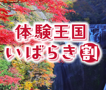 体験王国いばらき割 体験王国いばらき割
